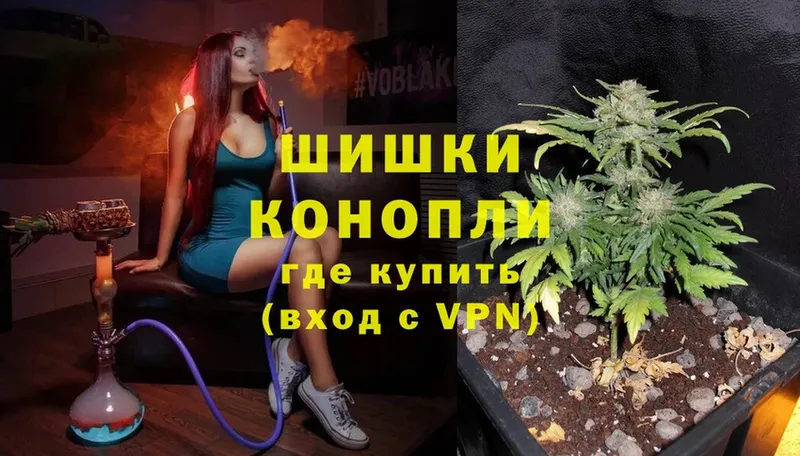 Бошки марихуана SATIVA & INDICA  Магадан 